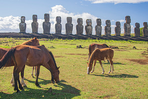Wild horses on green field near ancient moai statues of Ahu Tong, a Photo by Pictures for you!!!!!!!!!