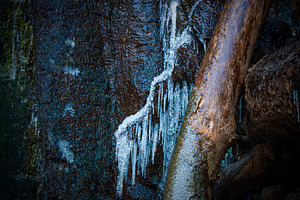 Icicle #1, a Nature Photo by jakub_kopecky
