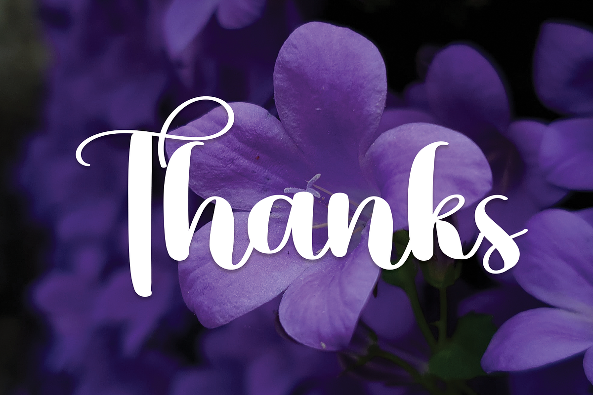 Violet | Script Font, a Script Font by Scratchones (Photo 2 of 8)