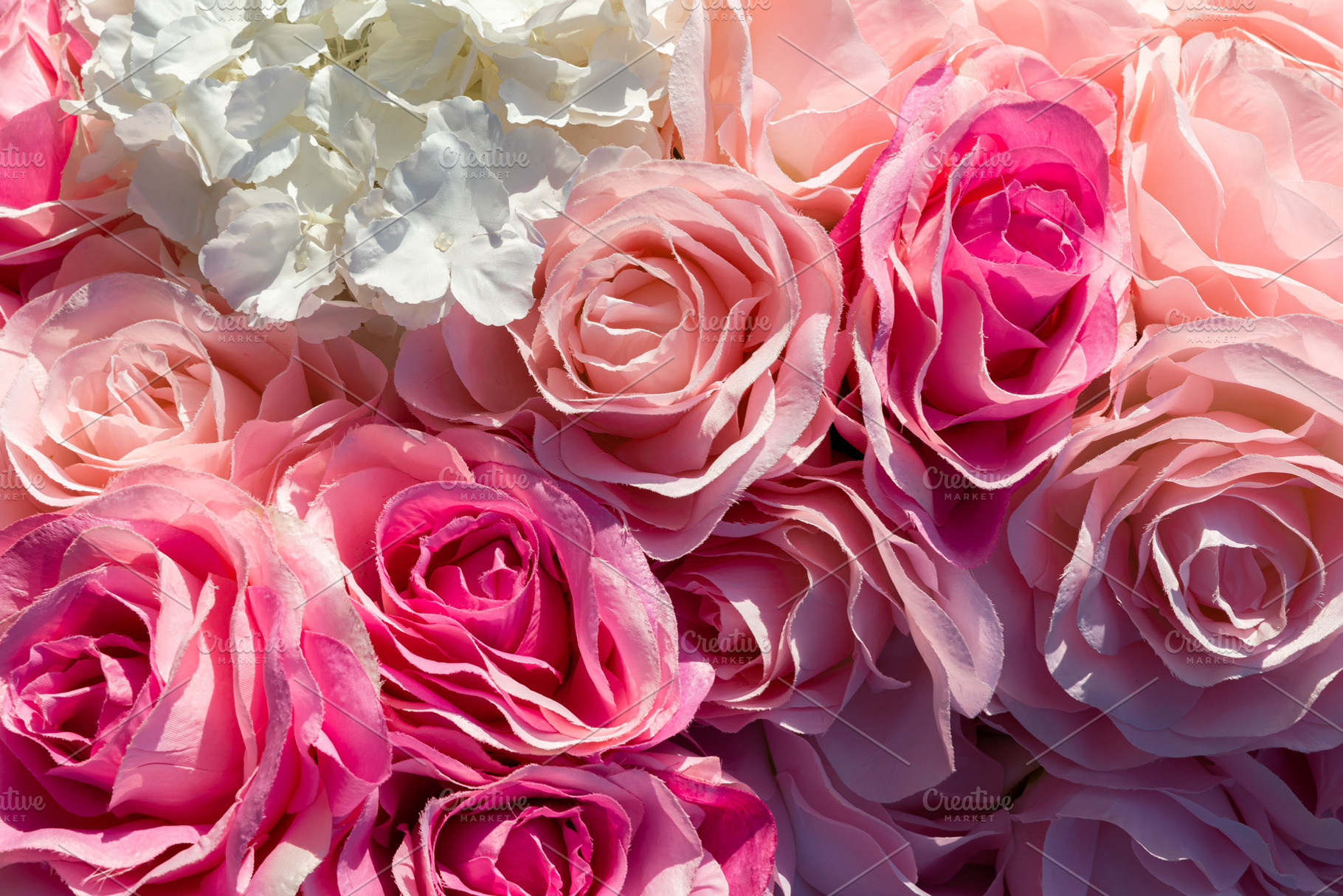 Close-up of soft pink and white artificial roses with delicate t, a Nature Photo by Ales Munt