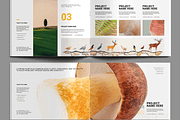 Portfolio Layout, a Brochure Template by MightyDesign (Thumbnail 5 of 9)