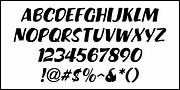 Show Card Brush JNL, a Script Font by Jeff Levine Fonts (Thumbnail 5 of 5)