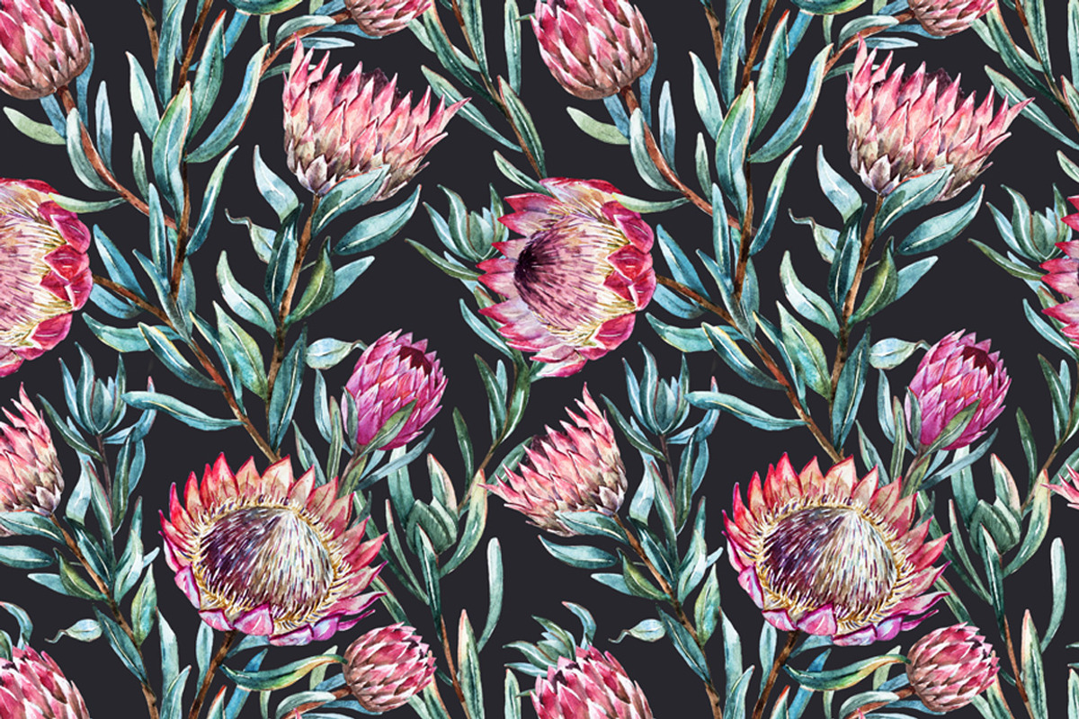 Watercolor Flower Protea, an Illustration by Lembrik's Artworks (Photo 5 of 5)