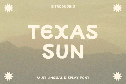 Road Trip, a Slab Serif Font by Bruised Goods