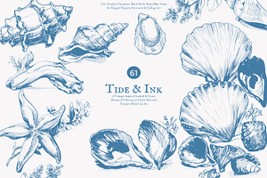 seashell clipart ocean sketch set, a Decorative Illustration by Patishop Art