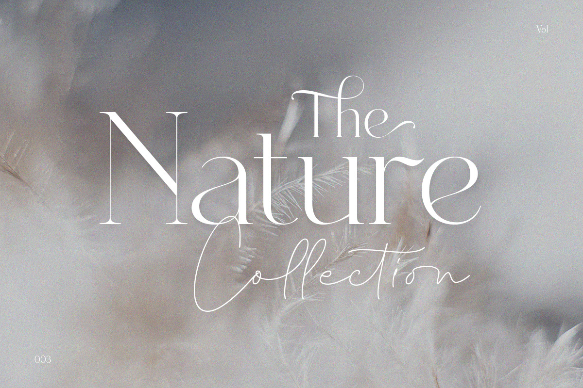 Dealoras Font Duo, a Serif Font by Attract Studio (Photo 13 of 17)