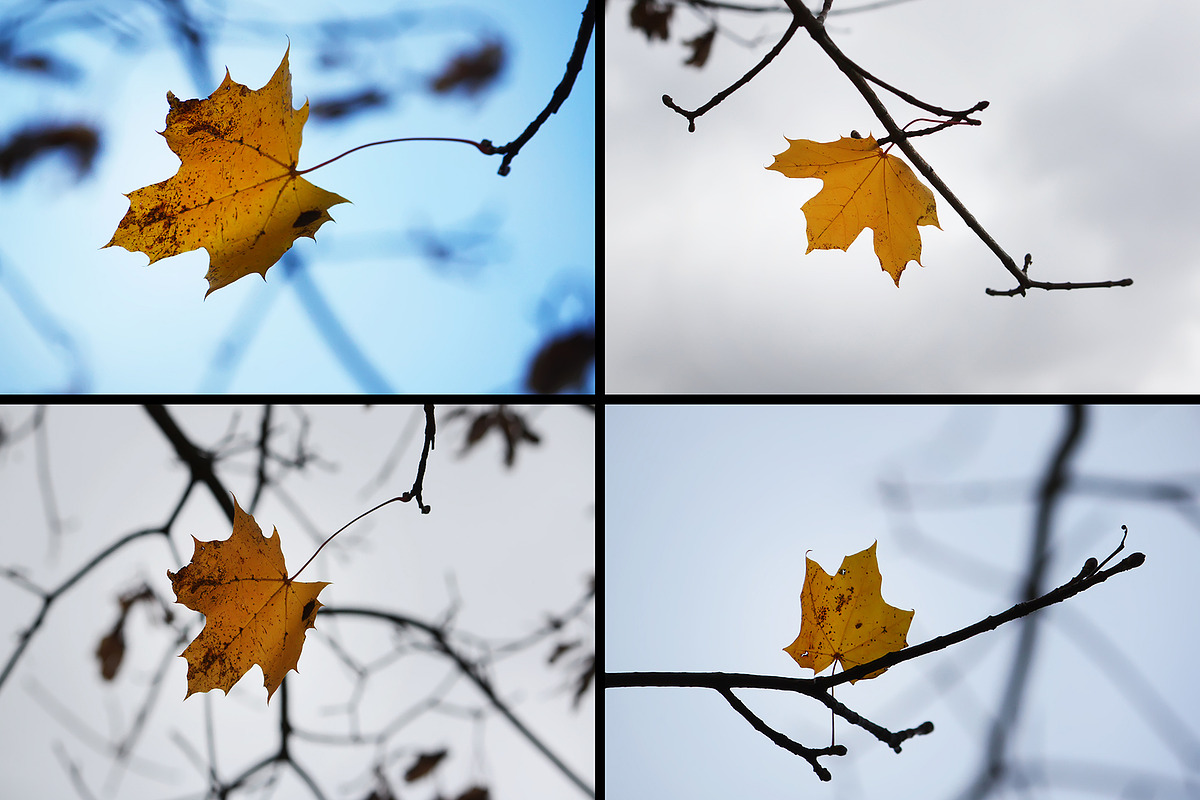 28 autumn nature photo pack, a Nature Photo by pictures for you (Photo 3 of 7)