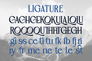 Berenhart - Elegant Modern Classy, a Serif Font by Qweera Studio (Thumbnail 11 of 12)
