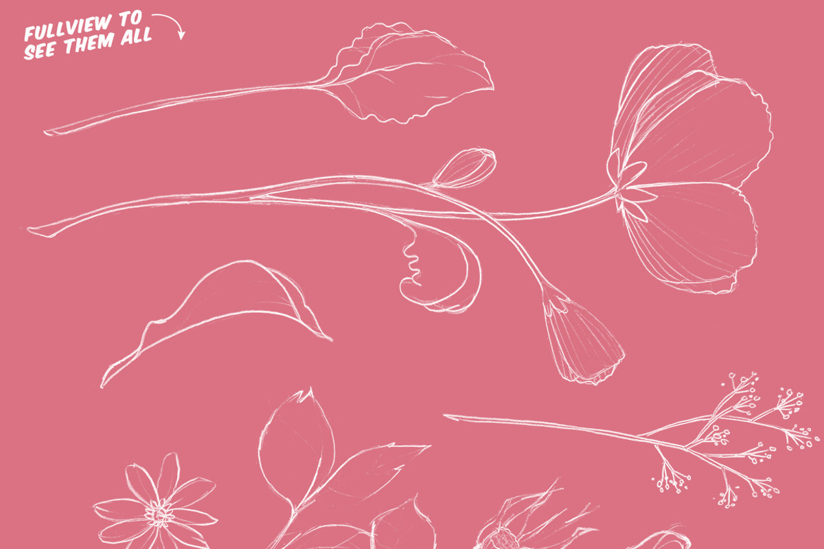 Chalkboard Flowers & Company preview 3
