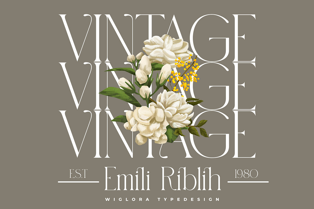Wiglora Modern Ligature Serif, a Serif Font by Alfinart (Photo 2 of 10)