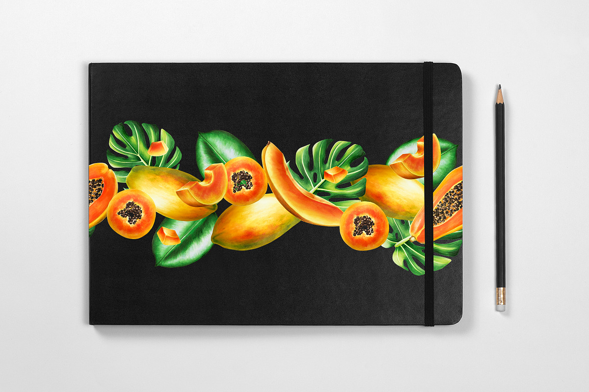 Papaya clipart in botanical style, a Food Illustration by Navenzeles (Photo 8 of 12)