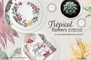 Set of transparent watercolor flower, a Decorative Illustration by RushkinaAntonina (Thumbnail 3 of 5)