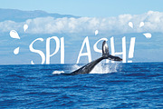 Oh Captain Font, a Sans Serif Font by Salt & Pepper Designs (Thumbnail 2 of 6)