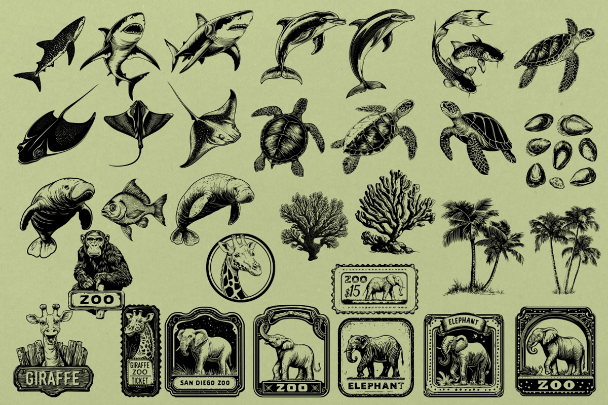 330 ZOO Animals vector illustrations, an Animal Illustration by Nocturnal Wolf (Photo 15 of 18)