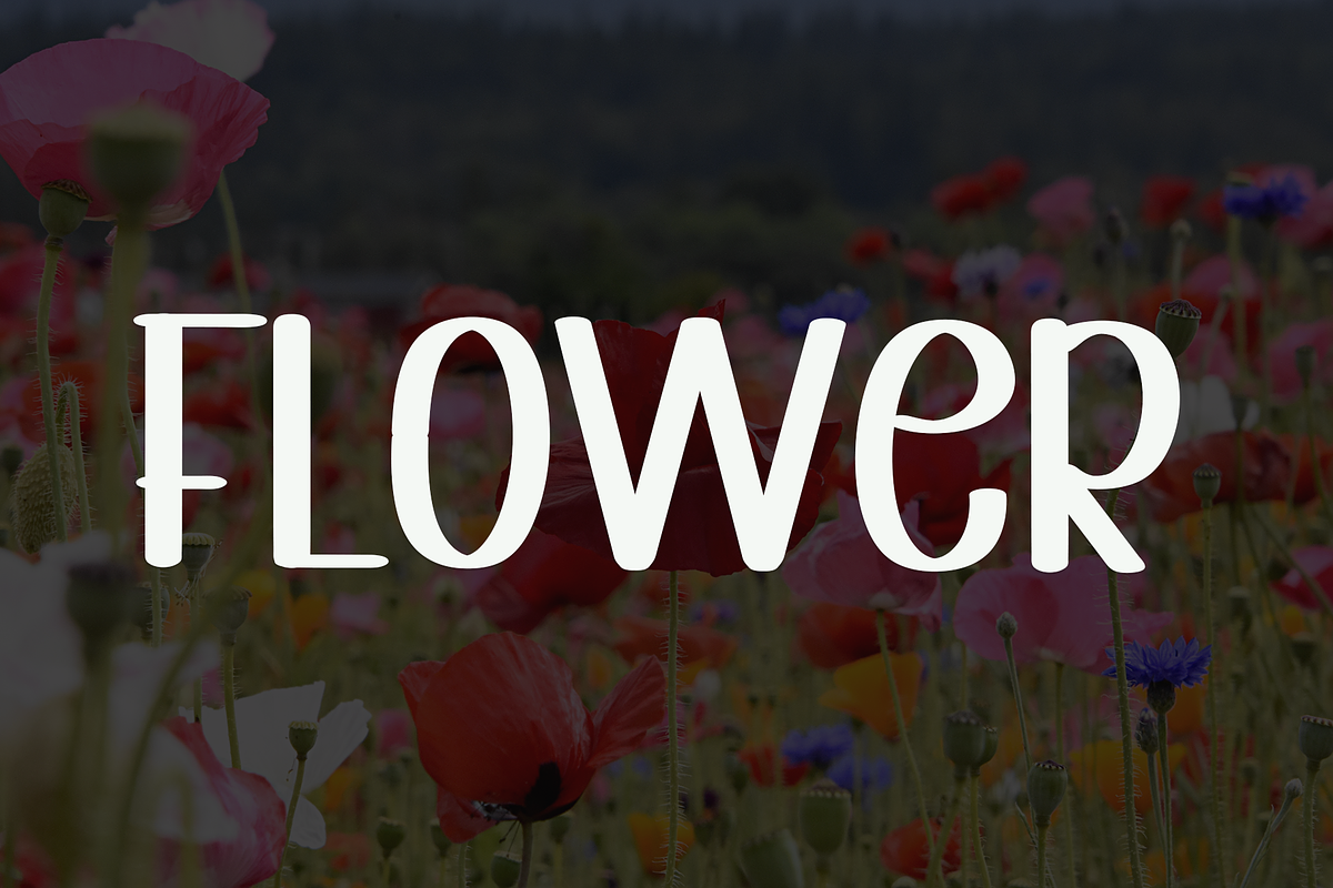 Beautiful Wildflower, a Handwritten Font by InermediaSTUDIO (Photo 6 of 8)