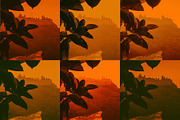ORANGE CREATIVE PRESETS, a Preset Add-On by El Oasis Market (Thumbnail 2 of 7)