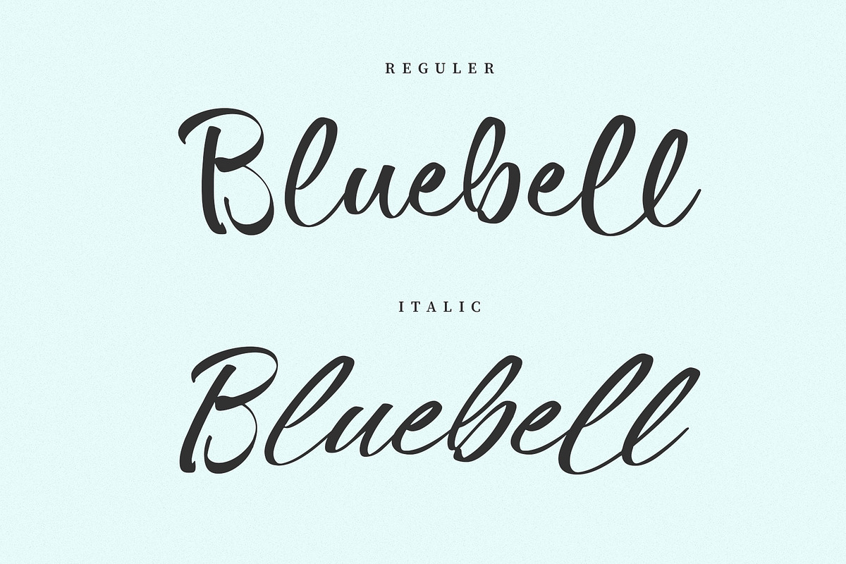 Agatta Bluebell a Handwritten Font, a Handwritten Font by RantautypeStudio (Photo 2 of 15)