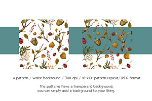 Woodland Autumn Clipart & Patterns