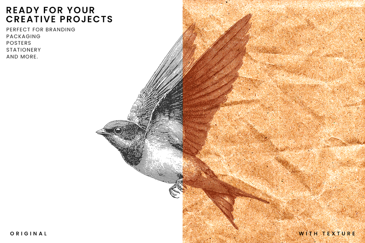 Natural Crumpled Kraft Paper Texture, a Texture Graphic by Ary_ngeblur (Photo 5 of 7)