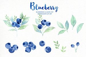 Blueberry Watercolor Clipart