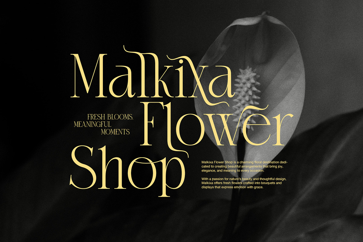Mellian – Elegant Serif Font, a Serif Font by Perfectype (Photo 4 of 8)