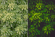 Summer Adventure - Lightroom Presets, a Plug-in Add-On by ELITE ARTISTS (Thumbnail 8 of 10)