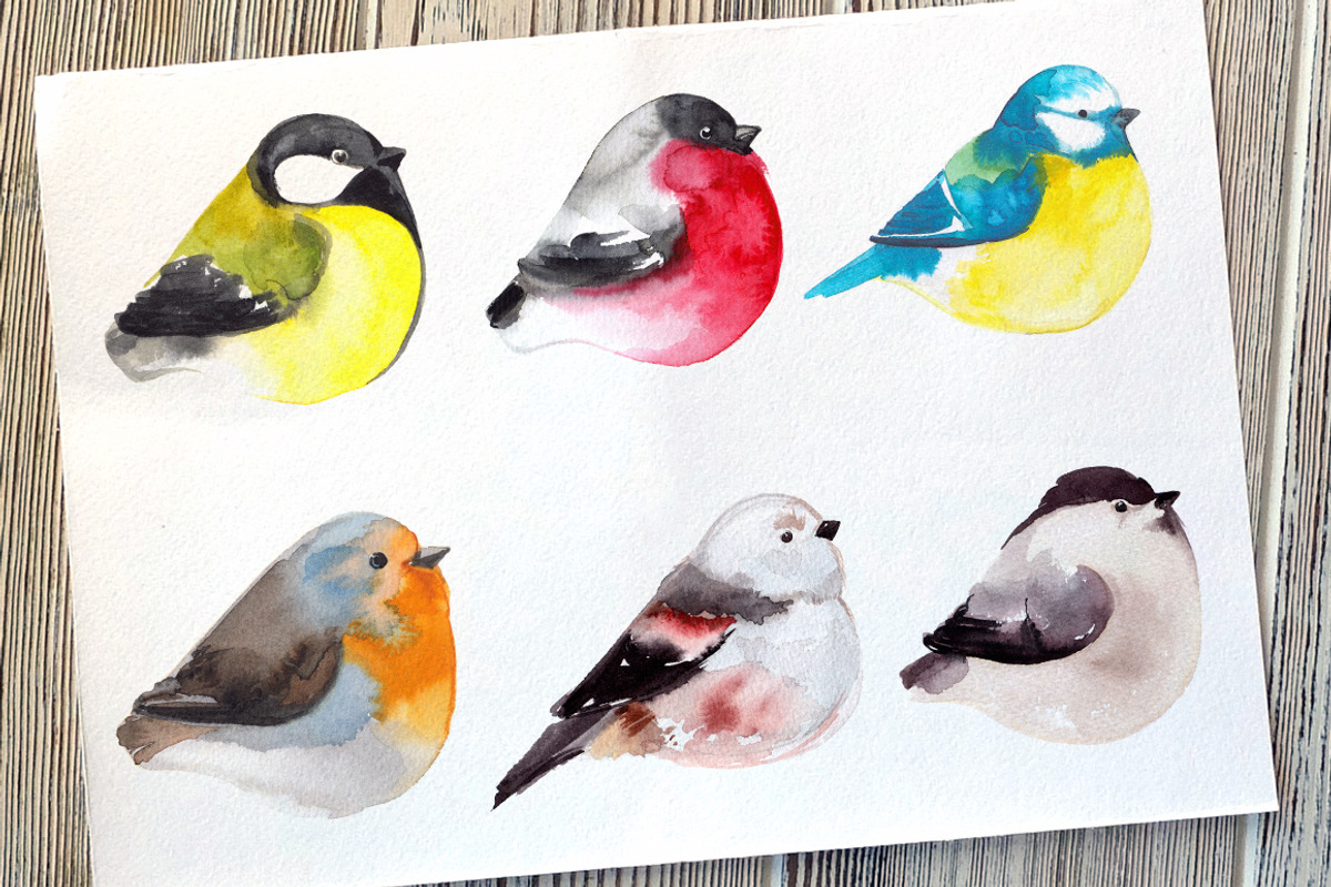 Birds watercolor, an Illustration by irina.vaneeva (Photo 3 of 3)