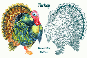 Turkey
