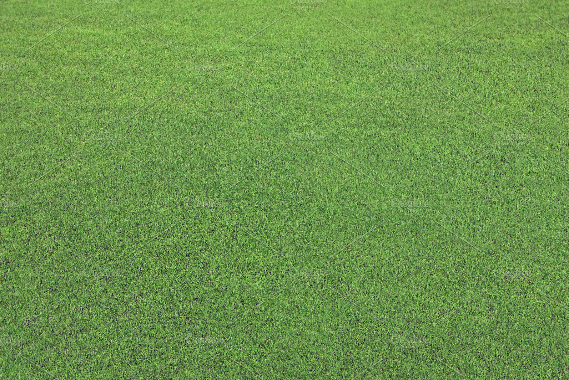 Full frame green grass background, a Nature Photo by BOOCYS