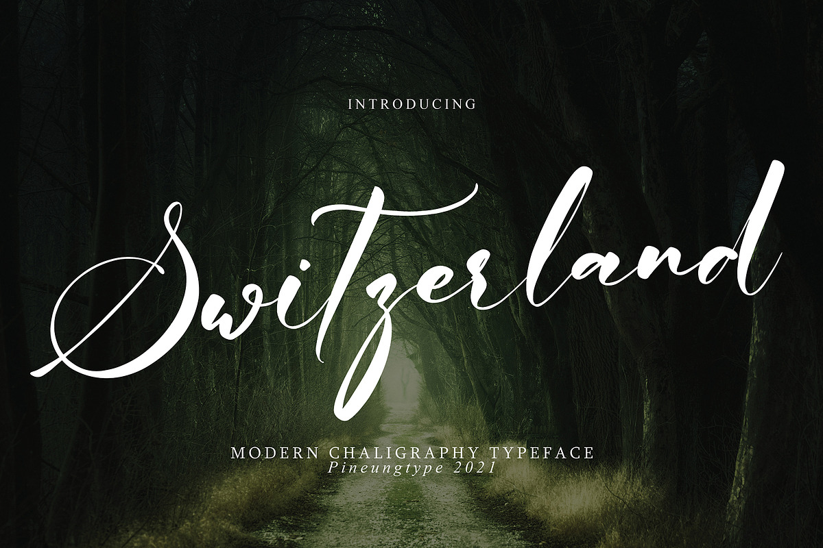 Switzerland, a Script Font by pineungtype (Photo 1 of 9)