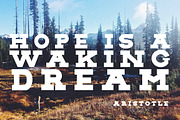 BOAR TUSK Font Family, a Slab Serif Font by Zone 6 (Thumbnail 8 of 8)