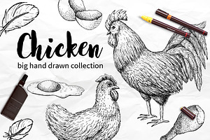 Chicken Hand Drawn Set