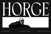 Horge A Display Serif Font, a Serif Font by Storytype Studio (Thumbnail 1 of 16)