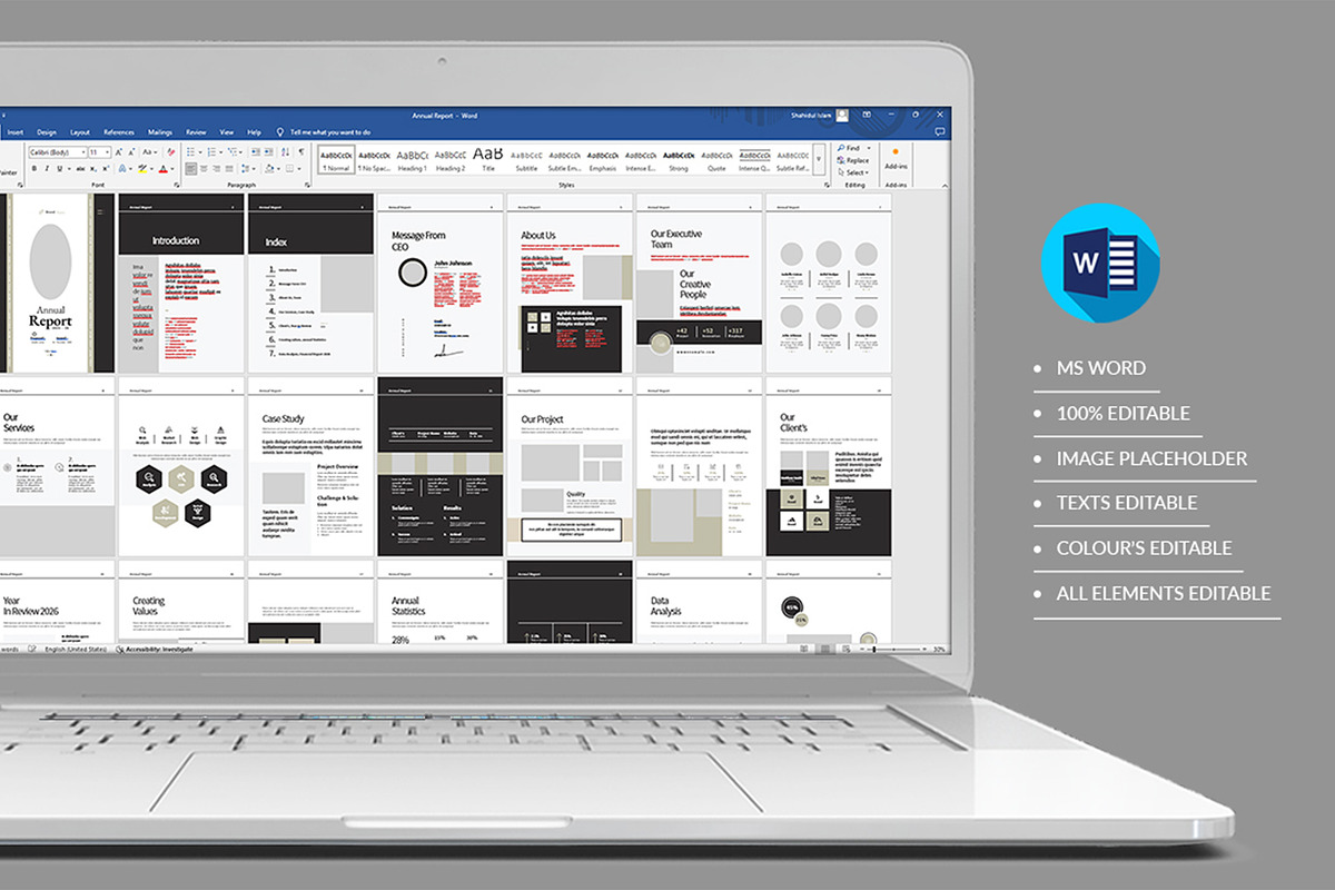 Annual Report Template preview 2