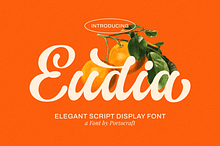 Eudia Elegant Display Script