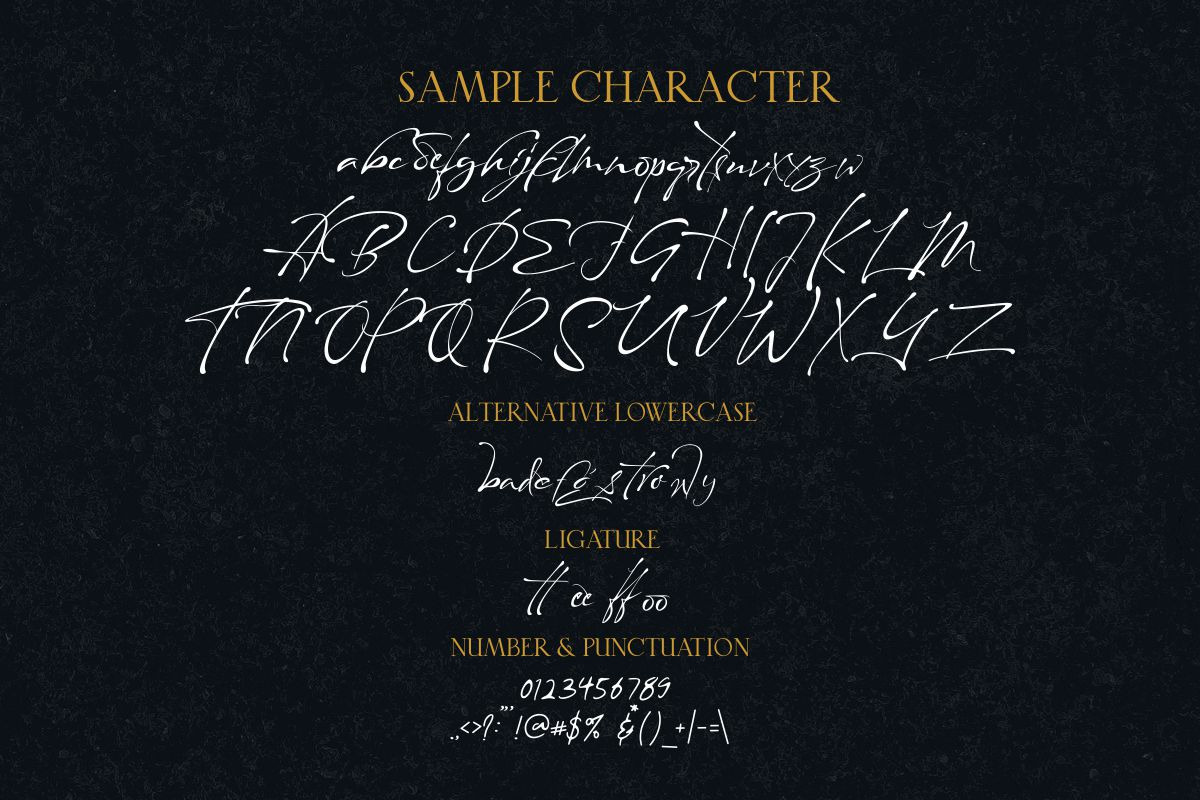Maestro Signature // Expresivve Font, a Script Font by typeline studio (Photo 9 of 9)
