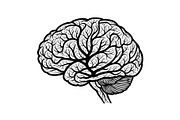 Brain Tree Knowledge Design Bundle, an Illustration by Gaye Art (Thumbnail 19 of 31)