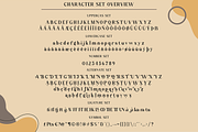 Megatura // Elegant Serif Typeface, a Serif Font by Haksen (Thumbnail 13 of 15)