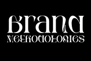 Rghs Font Family, a Serif Font by Ryul Davidson (Thumbnail 6 of 15)
