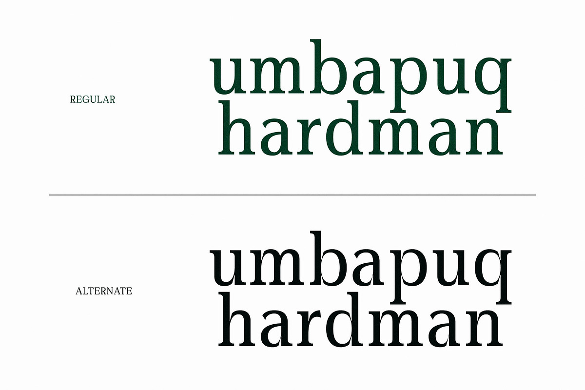 Gardmun Kinsley Modern Serif Font, a Serif Font by Letterena Studios (Photo 4 of 15)