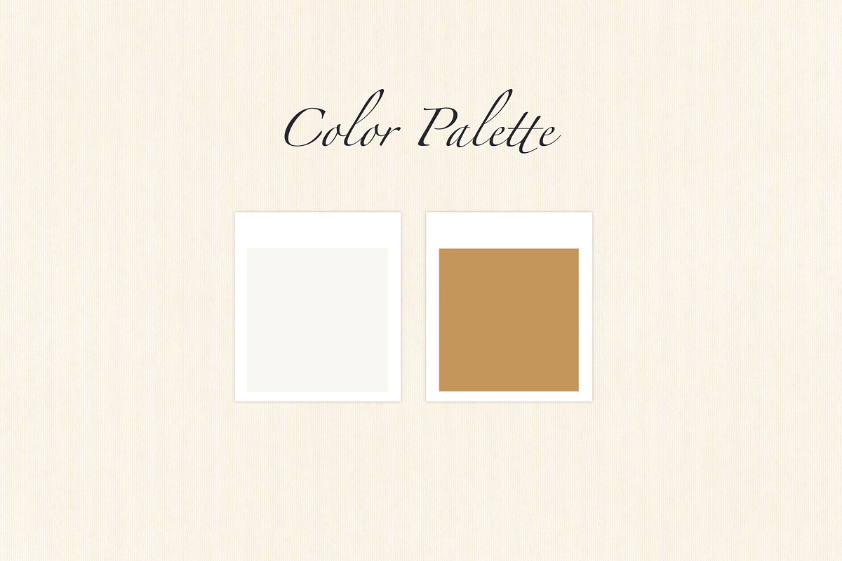 Minimalist Rose Surface Patterns, a Pattern Graphic by Quinn Lane Designs (Photo 6 of 8)