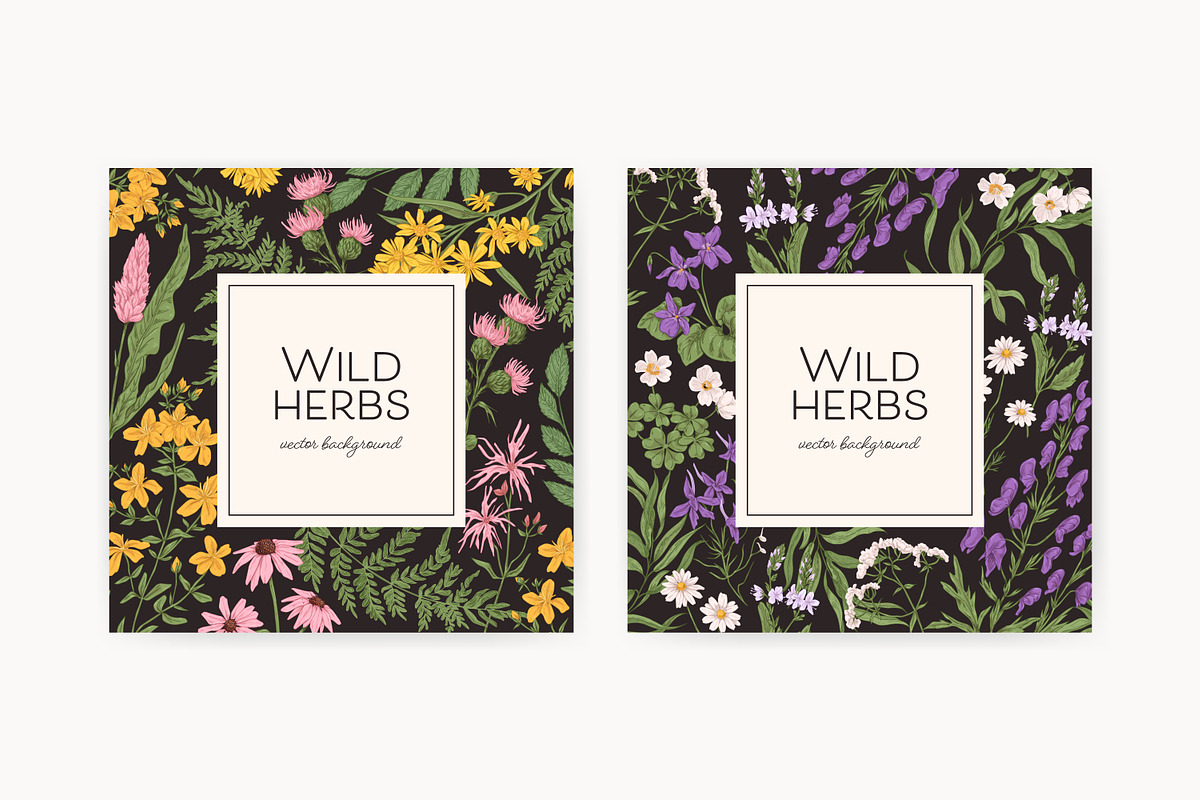 Wild flowers and herbs backgrounds, a Decorative Illustration by Good Studio (Photo 2 of 5)
