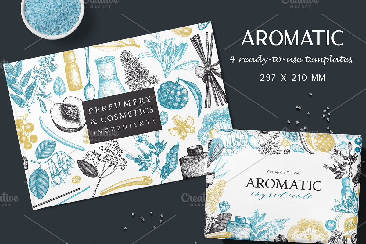 Aromatic Plants & Flowers Sketches, a Healthcare Illustration by Yevheniia (Photo 7 of 9)