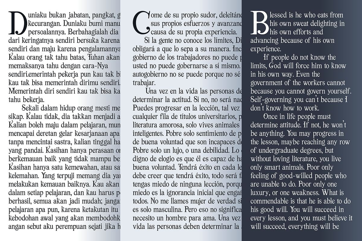 Viktoria Duo, a Serif Font by figuree studio (Photo 10 of 13)