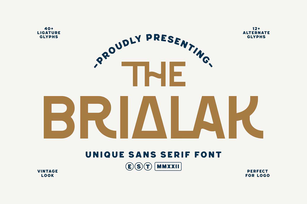 Brialak - Classic Sans Serif Font, a Sans Serif Font by Imoodev (Photo 1 of 5)