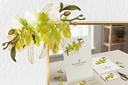 Slipper Orchid Botanical Clipart PNG, a Decorative Illustration by Floraphoria (Thumbnail 4 of 12)