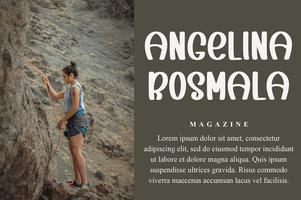 Signboard, a Serif Font by FreshTypeINK (Photo 2 of 7)