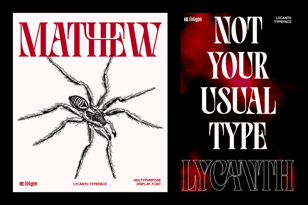 LYCANTH - Dramatic Editorial, a Serif Font by Eotype Studio (Photo 2 of 9)