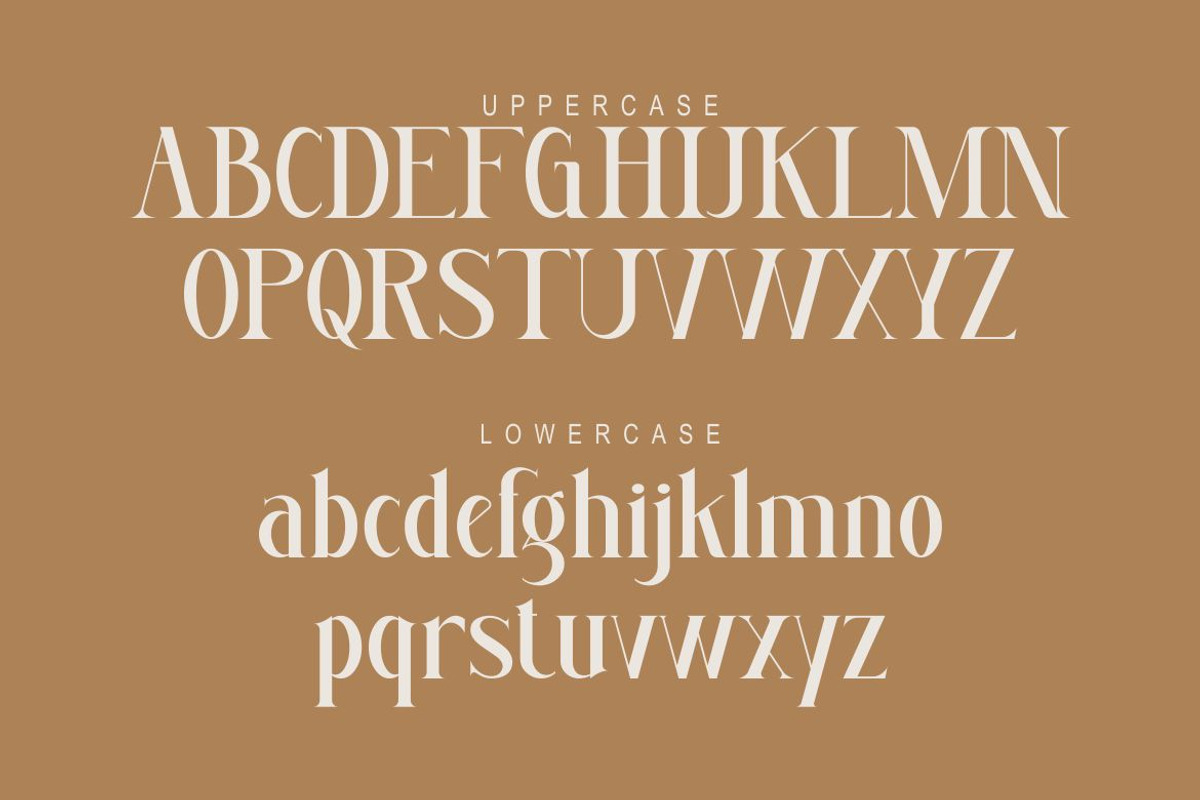 Melisa, a Serif Font by Kenrichi (Photo 3 of 11)