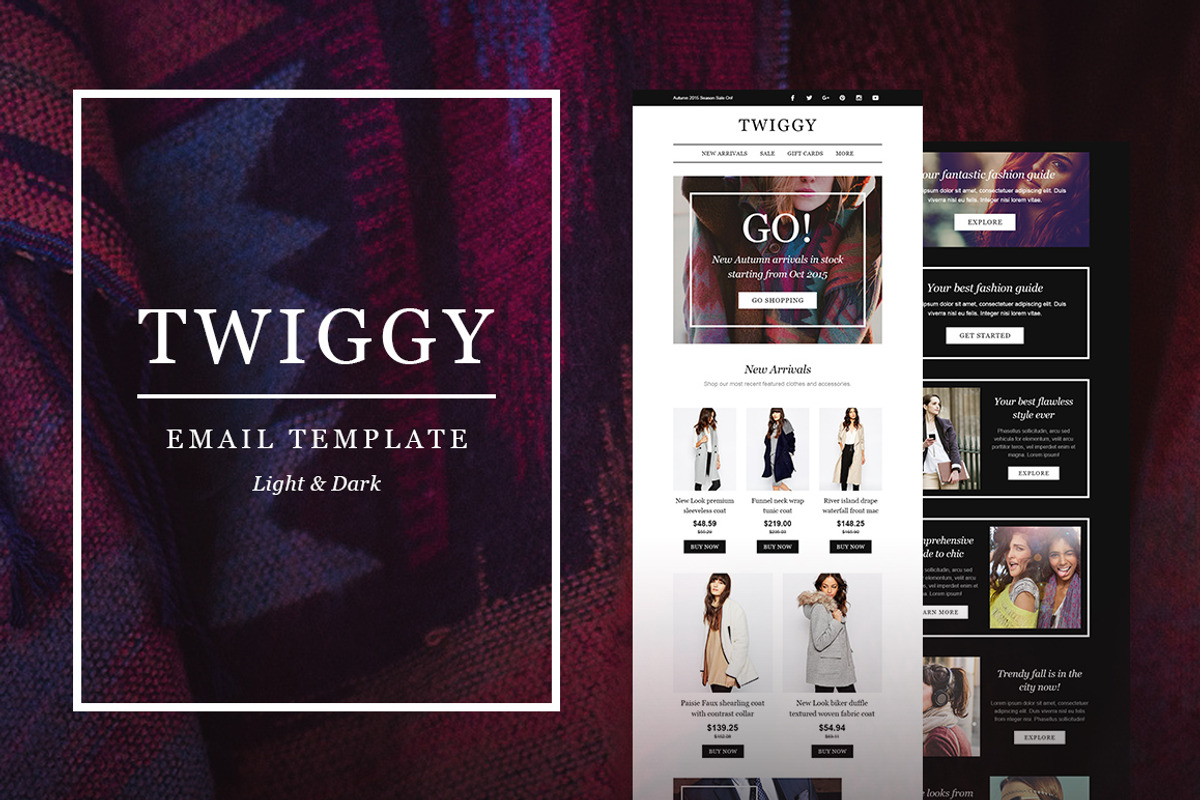 Twiggy E-Newsletter + Builder Access, an Email Template by NancyS (Photo 1 of 2)